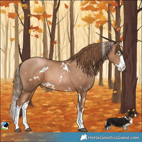 Horse Color:White Spotted Liver Chestnut Pearl Splash 