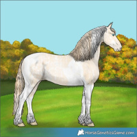 Horse Color:White Spotted Buckskin Pearl Tobiano and Buckskin Pearl Tobiano