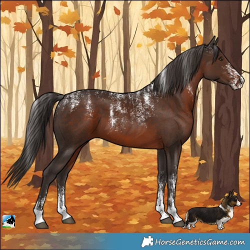 Horse Color:Powder White Liver Chestnut