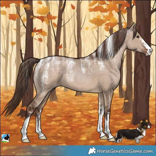 Horse Color:Powder White Liver Red Dun 