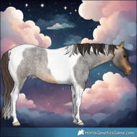 Horse Color:Buckskin Roan Tobiano