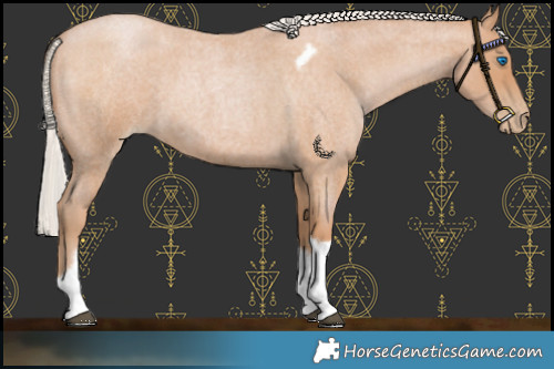 Horse Color:Silver Blue Roan Pearl Tobiano Frame