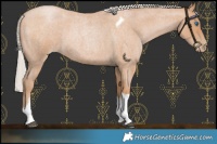 Horse Color:Silver Blue Roan Pearl Tobiano Frame 