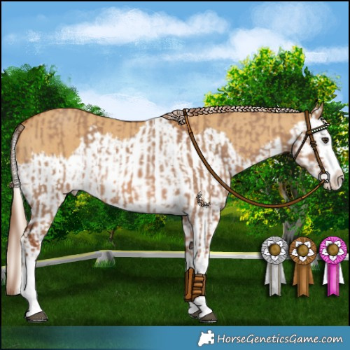 Horse Color:Red Dun Splash  and Palomino Dun Splash 