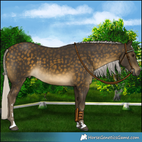 Horse Color:Silver Buckskin