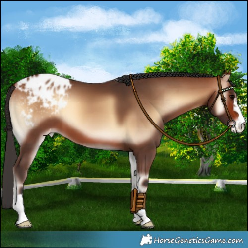 Horse Color:Bay Onyx Varnish 