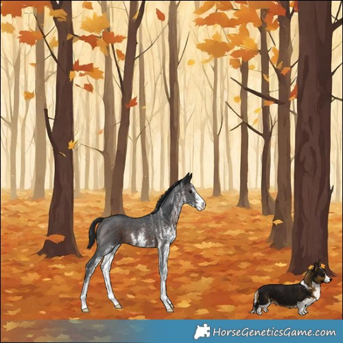 Horse Color:White Spotted Brown 