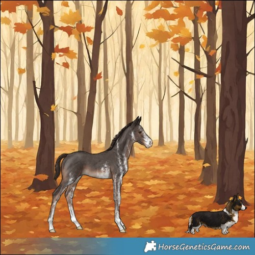 Horse Color:White Spotted Liver Chestnut 