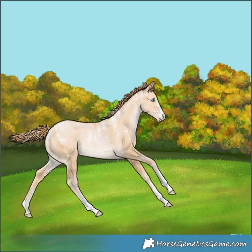 Horse Color:Powder White Buckskin Pearl 