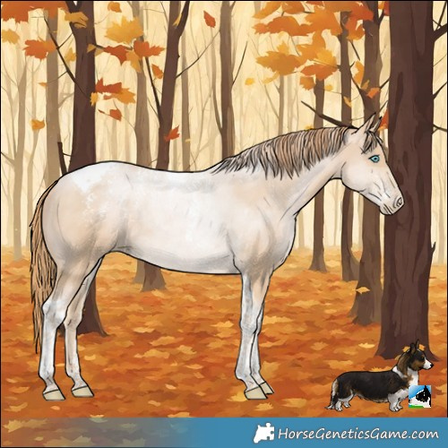 Horse Color:Powder White Buckskin Pearl Tobiano Rabicano 