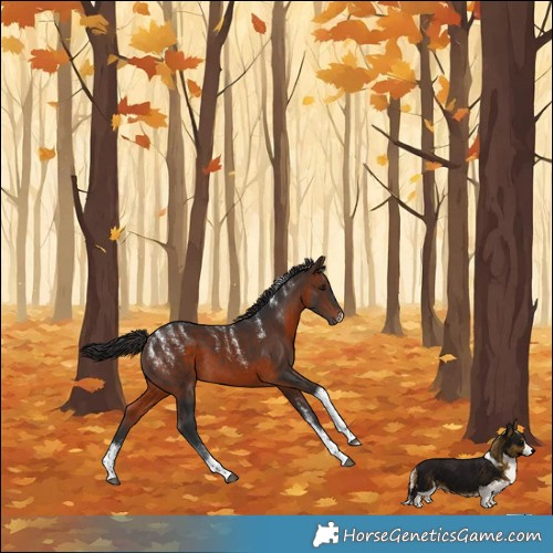 Horse Color:Powder White Brown Tobiano