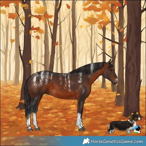 Horse Color:Powder White Brown Tobiano 