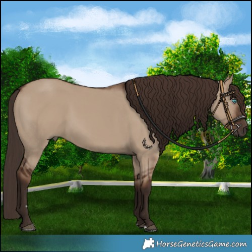 Horse Color:Liver Red Dun 