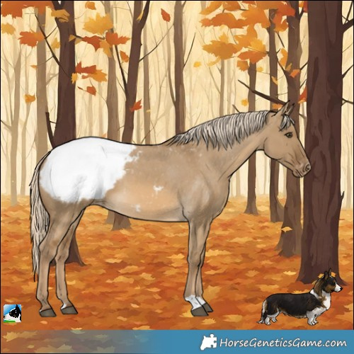 Horse Color:Chocolate Palomino Dun Snowcap 
