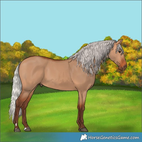 Horse Color:Silver Bay Dun 