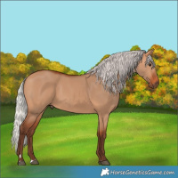 Horse Color:Silver Bay Dun