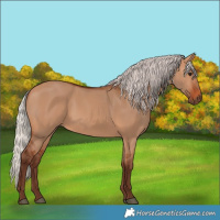 Horse Color:Silver Bay Dun 