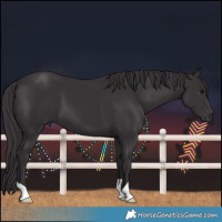 Horse Color:Smoky Black 