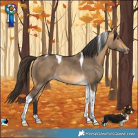 Horse Color:Buckskin Dun Tobiano Brindle 