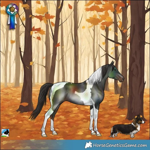 Horse Color:Liver Chestnut Tobiano Rabicano 