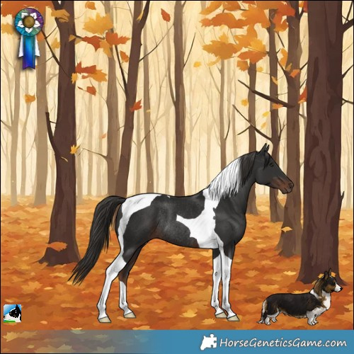 Horse Color:Liver Chestnut Tobiano Rabicano 