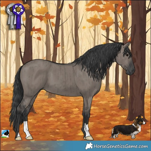 Horse Color:Grullo Brindle