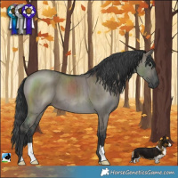 Horse Color:Grullo Brindle 