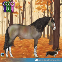 Horse Color:Brown Dun 