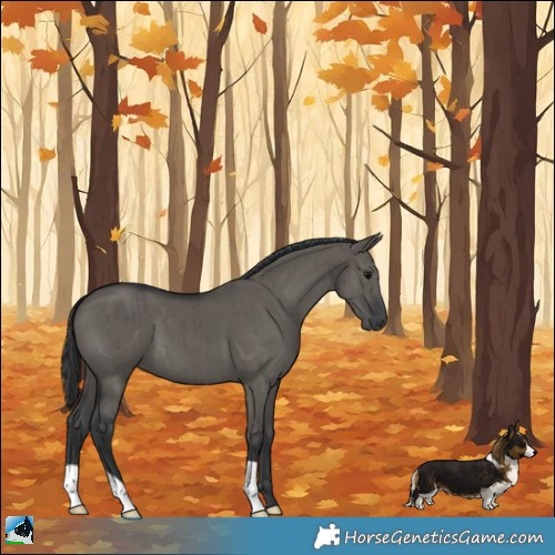 Horse Color:Grullo Brindle