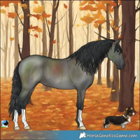 Horse Color:Grullo Brindle 