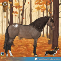 Horse Color:Brown Dun Blanket 