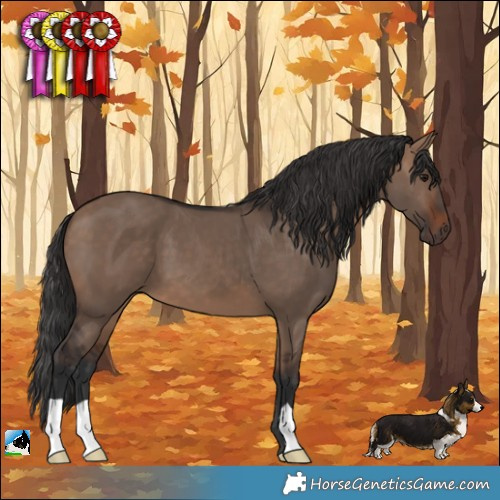 Horse Color:Brown Dun 