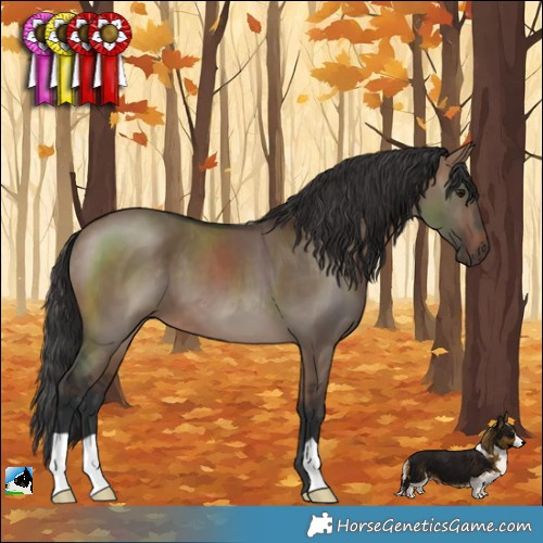 Horse Color:Brown Dun