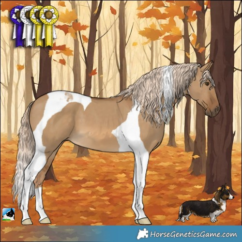 Horse Color:Chocolate Palomino Dun Tobiano 