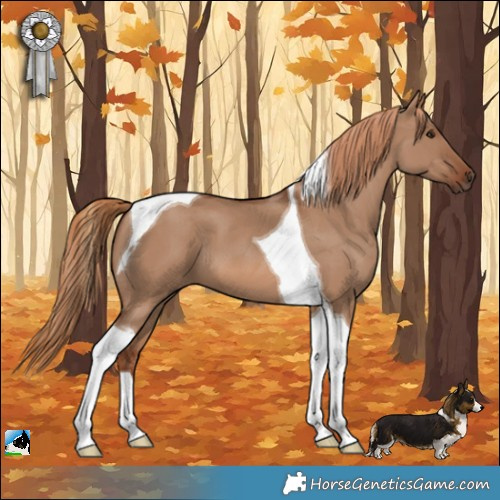 Horse Color:Red Dun Tobiano 