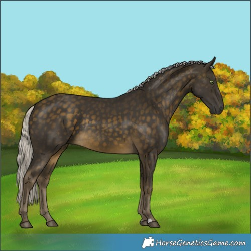 Horse Color:Silver Buckskin Rabicano 