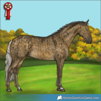 Horse Color:Silver Buckskin Dun Rabicano Brindle