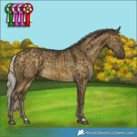 Horse Color:Silver Buckskin Dun Rabicano Brindle 