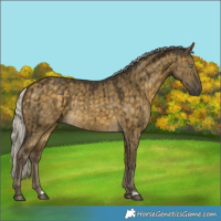Horse Color:Silver Buckskin Dun Rabicano Brindle