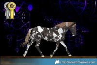 Horse Color:White Spotted Liver Chestnut 