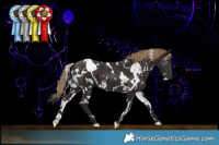 Horse Color:White Spotted Liver Chestnut 