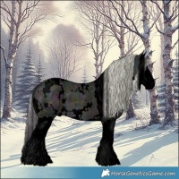 Horse Color:Void Watercolor White Spotted Midnight Silver Brown Ice Splash 