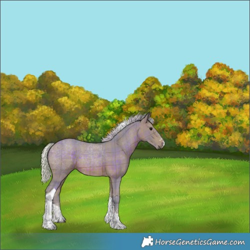 Horse Color:Watercolor Plaid  Silver Brown Sabino Tobiano Rabicano 