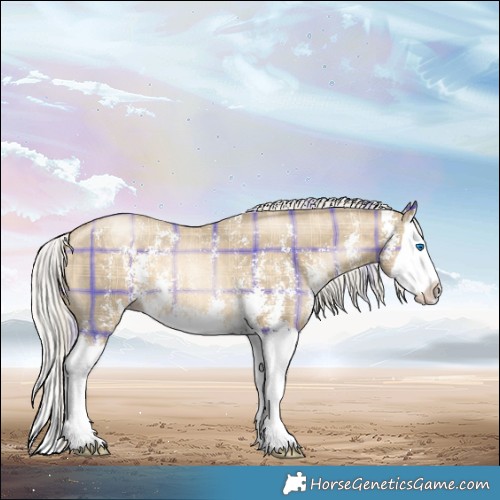 Horse Color:Plaid  Silver Buckskin Pearl Sabino Splash 