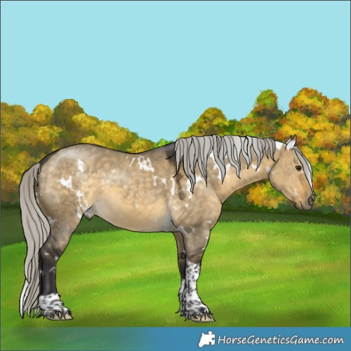 Horse Color:White Spotted Silver Buckskin Dun Tobiano 