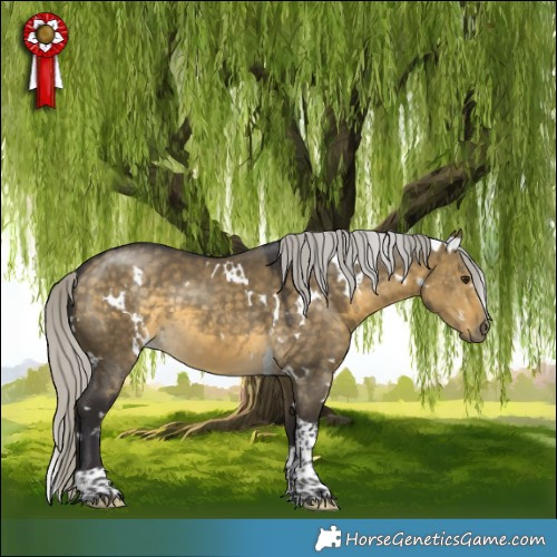 Horse Color:White Spotted Silver Buckskin Dun Tobiano 