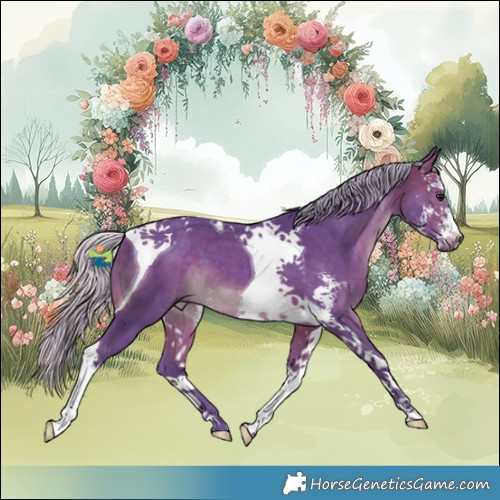 Horse Color:Watercolor Silver Brown Sabino Tobiano 