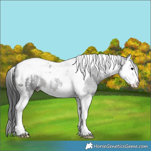 Horse Color:Powder White Brown Splash Tobiano 