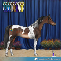 Horse Color:Brown Tobiano Rabicano 