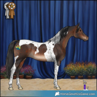 Horse Color:Brown Tobiano Rabicano 